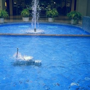 Meet your Posher, Erika